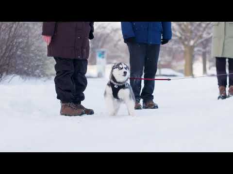 Winter Wonderland in Hannover | hanova