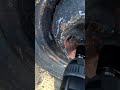 YATO Elektrinis smūginis suktuvas veržliasūkis YT-82021 1020W 1/2" 600Nm