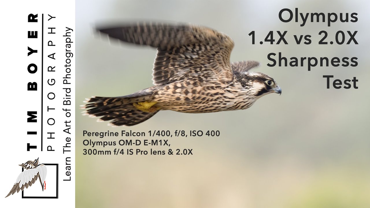 Watch video Olympus 1.4 vs 2.0 vs 2.0 Extenders - Sharpness Test Now Olympus 1.4 vs 2.0 vs 2.0 Extenders - Sharpness Test