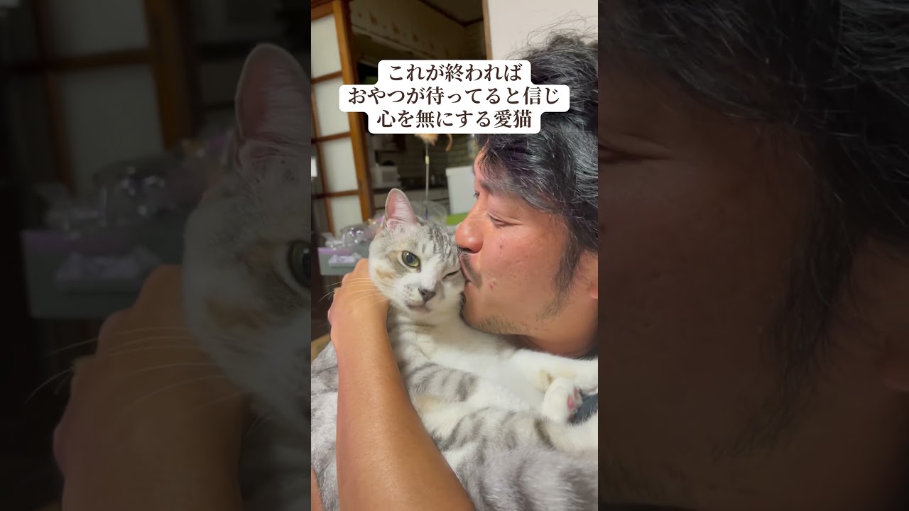 心を無にする愛猫が面白すぎた