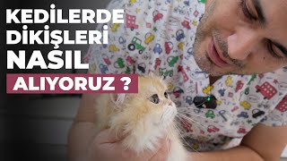 KEDİNİN DİKİŞLERİNİ ALDIK - (HİÇ KIZMADI)
