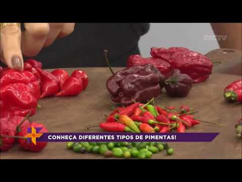 , title : 'Conheça os diferentes tipos de pimentas'