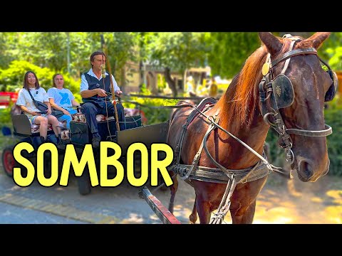 SOMBOR — A Cozy City with Horses, County and Salash / Sombor / Cities of Serbia / Travel / Serbia