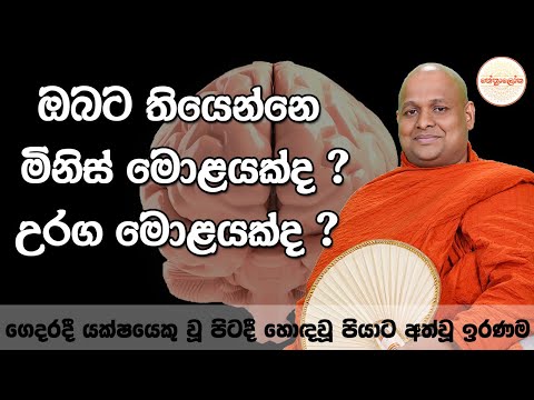 Kuttikulame Pemalankara Thero l Meth Neth Pamula Bana  l 2025 12 07