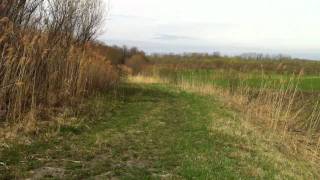 Mes voisins arrière