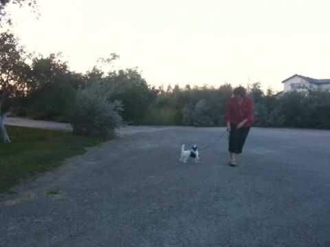 Sophie-Anne 15 weeks