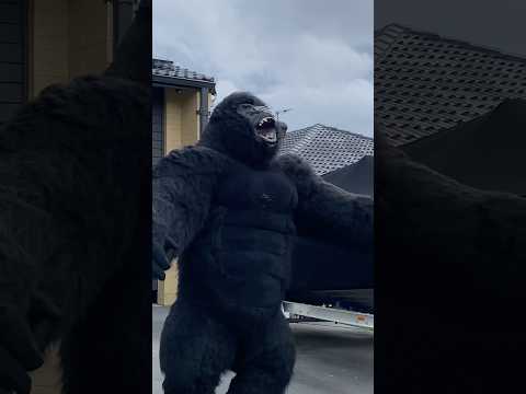 The mighty KING KONG #kingkong #halloween