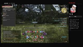 [FF14] 弓術士レベリング