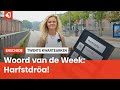 Het Twentse woord van de week: Harfstdröa!