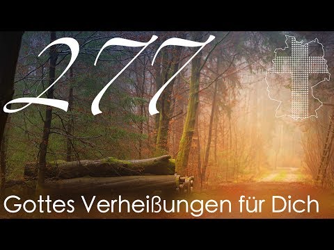 Gottes Verheißungen für Dich - Psalm 18,31 | Videokalender 277/365 - Deutschland braucht JESUS