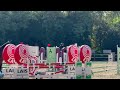 Poney Francais de Selle x categorie brevetto