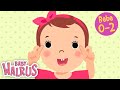 Moje Prve Reči Delovi Tela Edukativni Serijal Za Bebe 0 2