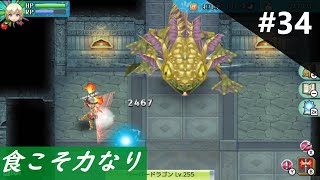 ＜トゥルーヘル縛り実況＞ルーンファクトリー4SP　第34話