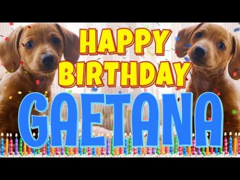 Happy Birthday Gaetana! ( Funny Talking Dogs ) What Is Free On My Birthday