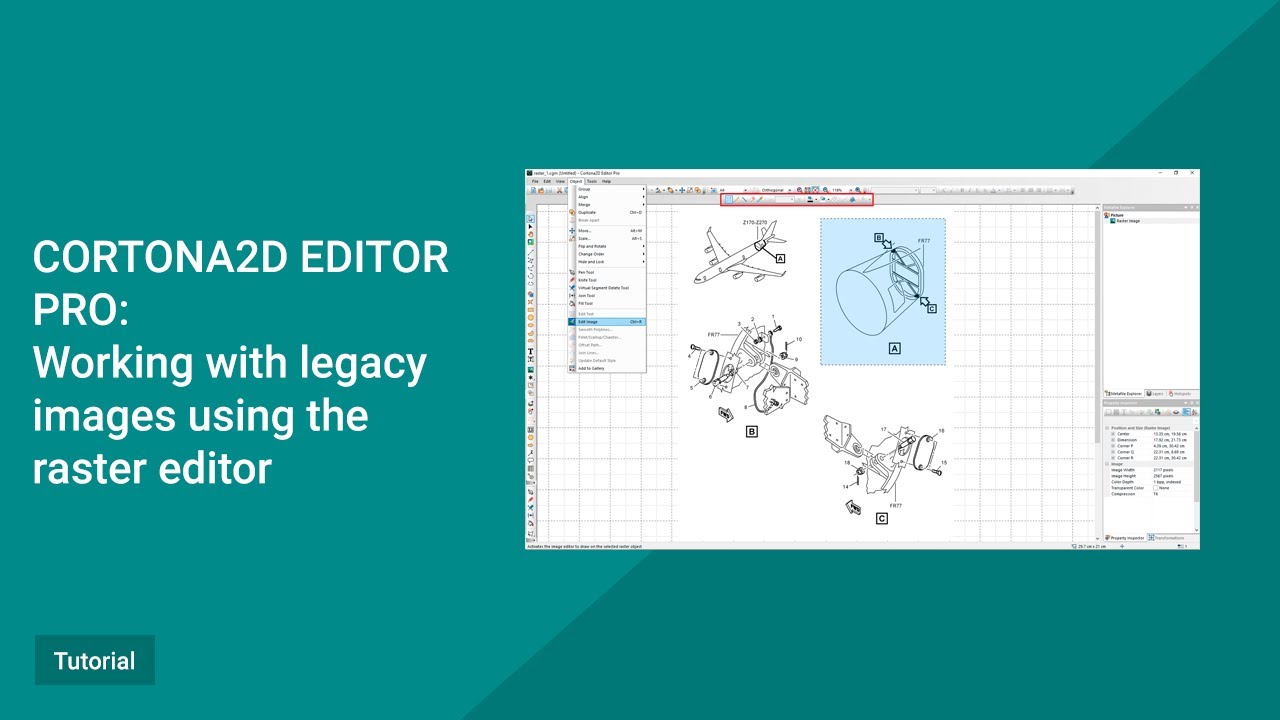 Cortona2D Editor Pro Tutorial. Working with legacy images using the raster editor