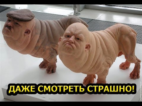 НА НИХ СТРАШНО СМОТРЕТЬ! Ошибка природы или древняя цивилизация? / Документальный Проект 2019
