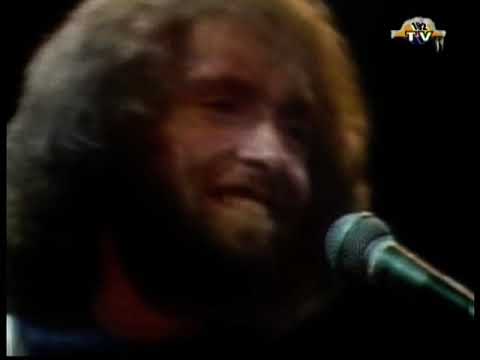 Henry Gross - Shannon (1976)