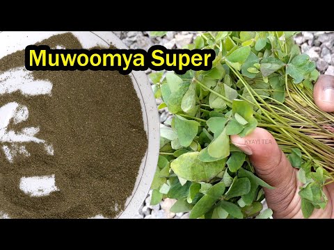 Sweet Manna Super Flour Kanyebwa Tastes Ass