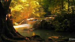 Download lagu Surah Al Mulk by Ismail Annuri mp3 Download lagu Surah Al Mulk by Ismail Annuri mp3