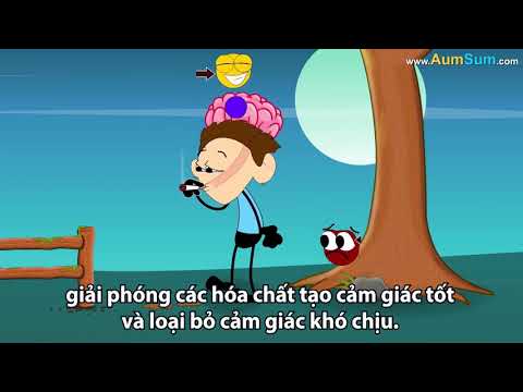 Vì sao nhiều người nghiện thuốc lá