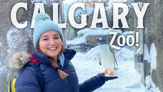 Is Calgary Zoo Our Favourite Zoo EVER?!