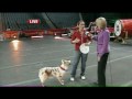 Circus Comes To KC