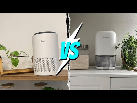 Air Purifier Vs Humidifier : Which One Does Your Home Need?