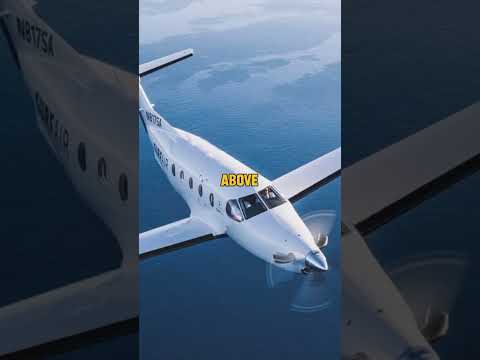 Pilot sees the megalodon | part 1 #shorts #megalodon