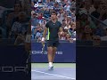 Alcaraz vs Djokoovic Hits DIFFERENT ?