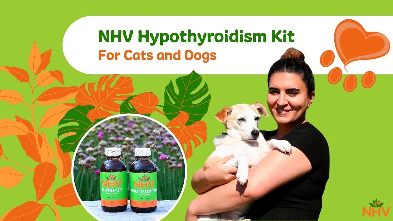 NHV Hypothyroidism Kit For Cats and Dogs