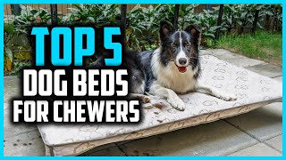 ✅ Top 5 Best Dog Beds For Chewers 2026