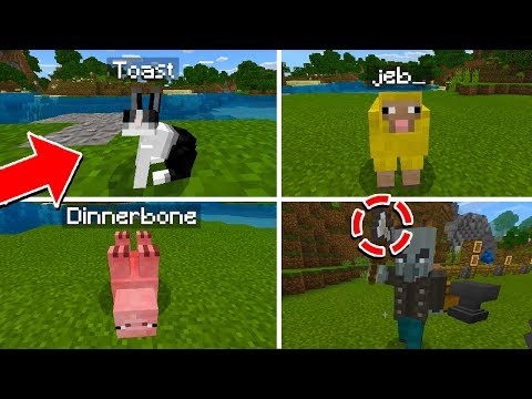 5 NAME TAG EASTER EGGS/TRICKS IN MINECRAFT! (PC PE XBOX)