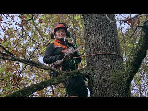 STIHL  AS System  Akku Gehölzschneider GTA 40