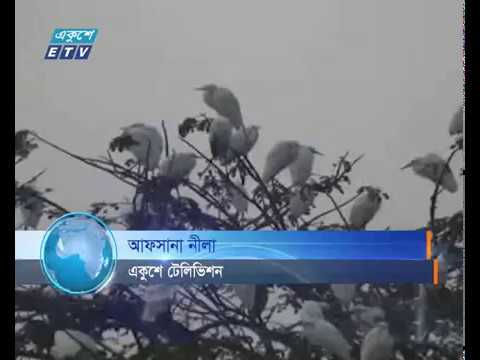 পর্যটনের অন্যতম আকর্ষণ নড়াইলের অরুনিমা রিসোর্ট গলফ ক্লাব