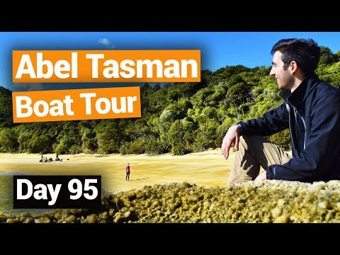 🏖️ Stunning Abel Tasman National Park Boat Tour - New Zealand's Biggest Gap Year