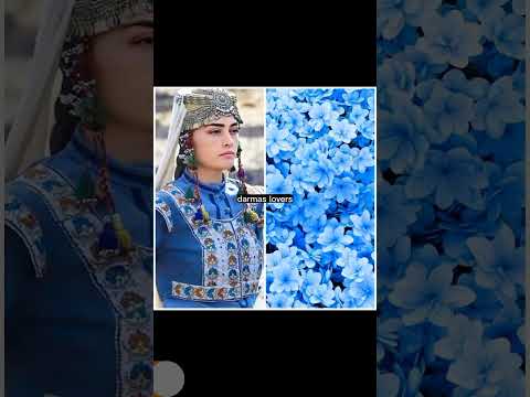 halima sultan as a flower🌺🌸🌷🌻#shorts