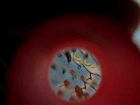 dreamlogicc - till the batteries run out (2008 shikuGaruProjects)