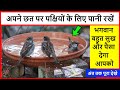 What Is The Spiritual Merit Of Giving Water To Birds Benefits Of Giving Water To Birds