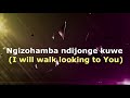 Bucy Radebe Uzuyigcine Impilo Yam Lyrics And Translation Video
