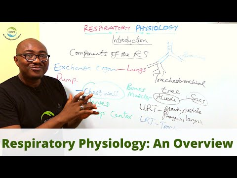Introduction to Respiratory Physiology