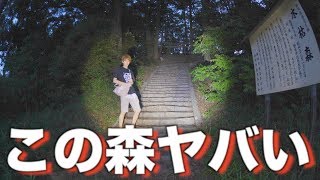 心霊トトロの森の最深部がヤバすぎた。