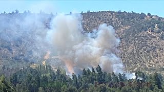 Incendio forestal obliga evacuaciones en Las Cabras