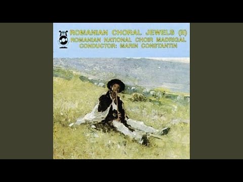 Pre Tine te laudam (Ioan D.Chirescu)