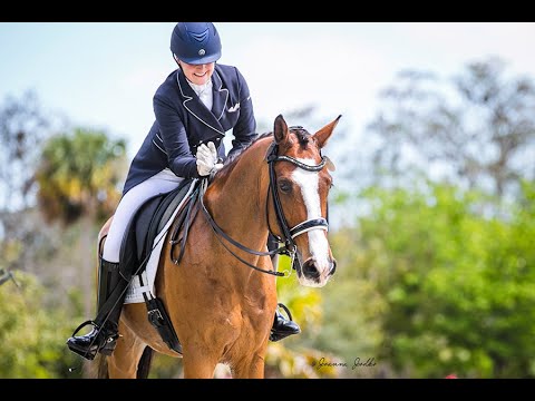 How To Set Up Your Pivo For Virtual Lessons