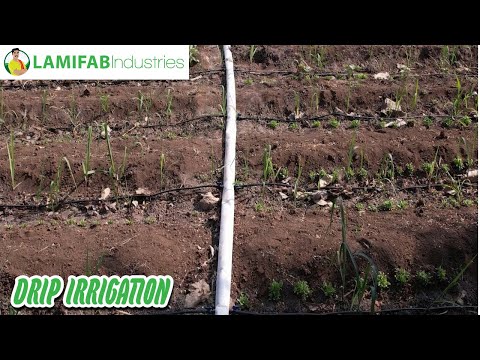 Agriculture Drip Irrigation