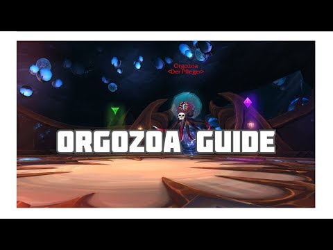 WoW Orgozoa Guide / Der Ewige Palast