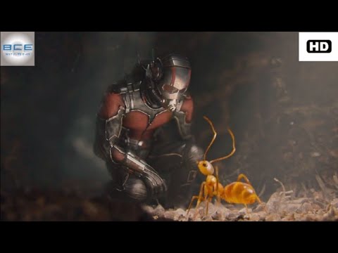 Ant man training scene in Hindi | Ant-Man.