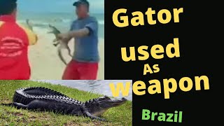 Alligator used as weapon during fight in Brazil | Rio de Janeiro