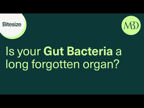 Our gut bacteria has so many functions that it could be called an organ. When it isn’t well, it affects the rest of our health!