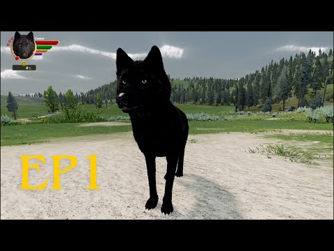 Unforgiving Iron Wolf! WolfQuest EP1 Galaxy Pack